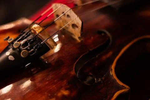 Close-up of Classical Violin Strings and Tailpiece with Warm Ambient Lighting Stock-Fotos