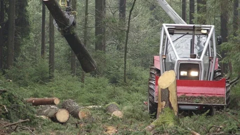 CLOSE UP: Claw on swing arm lifting tree trunk and loading it to the tractor Stock Footage 76783254