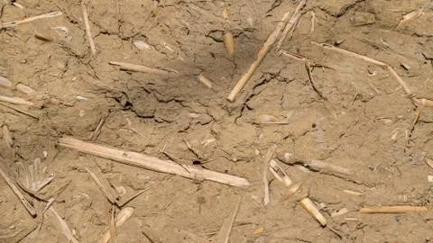 Close-up of clay with straws Stock Photos