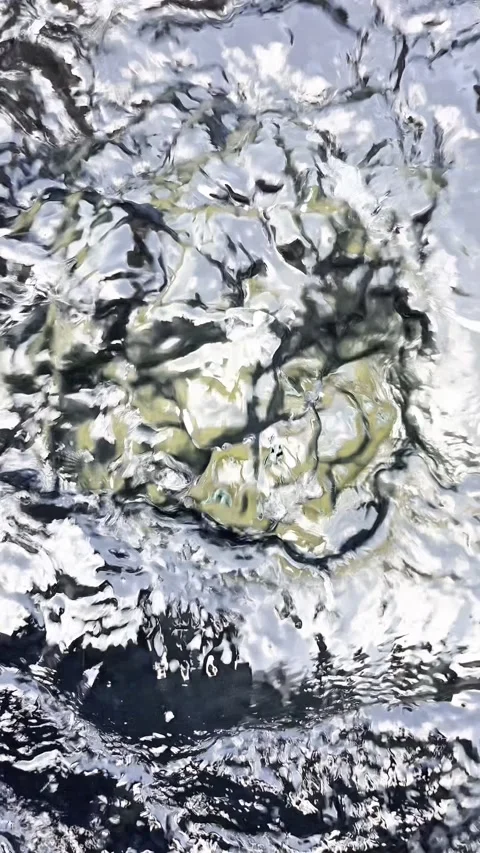 Close up of a clean and clear spring. 库存影片 338394717