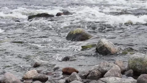 Close up of clean and dark water flowing in a small forest river with stones Stock Footage 250628480