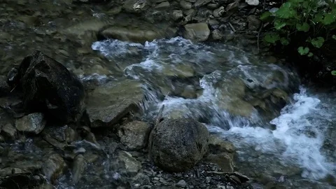 Close up of clean fresh mountain water spring Stock Footage 77061372