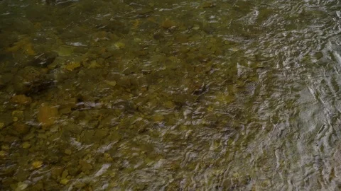 Close up of clean water flowing in a mountain river. Video stock 110457617