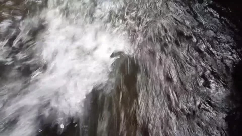 Close up of clean water flowing in a mountain river Stock Footage 244110802
