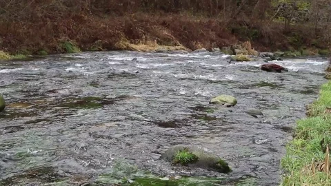 Close up of clean water flowing in a small mountain river Stock Footage 122083680