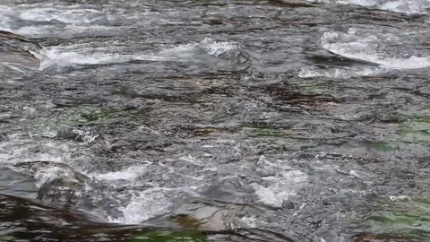 Close up of clean water flowing in a small mountain river Stock Footage 122083951