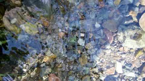Close up of clean water flowing in a small mountain river Stock Footage 141758032