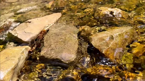 Close up of clean water flowing in a small mountain river Video stock 242327360