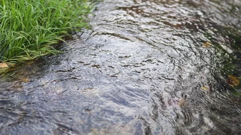 Close up of clean water flowing in a small mountain river 스톡 동영상 262262050