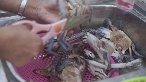 Close up of cleaning crabs for cook. Stock Footage 94501186
