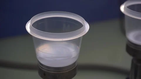 Close-Up of Clear Liquid Draining Through a Filtration Cup in a Laboratory Vídeos de archivo 334181232