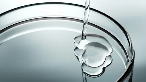 Close-Up of Clear Liquid Sample Analysis in a Petri Dish  Medical Research .. Stock Footage 335507981