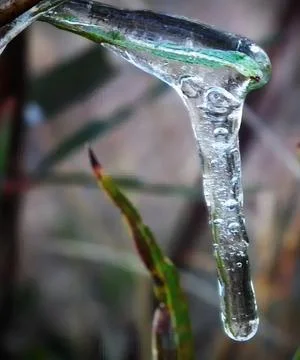 Close-up of a clear melting ice cube on a dark surface Stock Photos