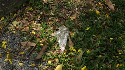 Close-up of a clear plastic bag littered on green grass with dry leaves Видео 333853149