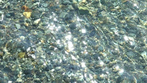 Close up the clear river Stock Footage 84848336