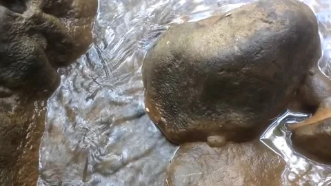 Close Up of Clear River Water Flowing Over Stones Видео 335061702