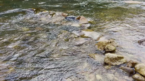 Close up of clear river water flowing and rippling over rocks Stock Footage 341755479