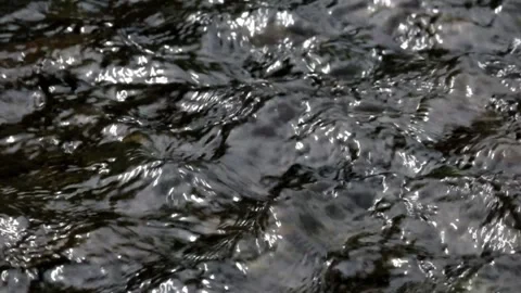 Close up of clear river water ripples Stock Footage 297888979
