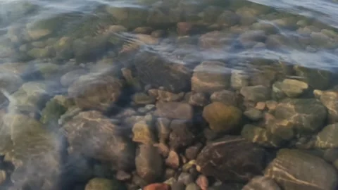 Close-up of clear river water rippling gently over smooth pebbles and stones Vídeos de archivo 340966237