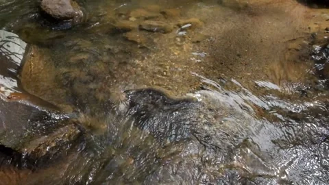 Close up of clear river water with rocks and sand at the bottom Video stock 297651058
