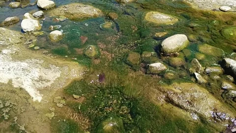 Close-up of clear shallow stream flowing over moss-covered rocks and smooth Stock-Footage 344428769