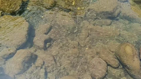 Close-up of clear shallow water flowing over river stones during a dry season Vídeos de archivo 344915114