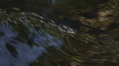 Close-up clear stream flowing over a mossy bed Stock Footage 59529378