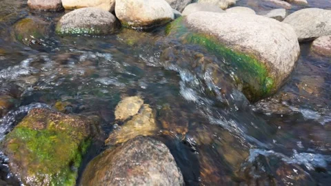 Close-up of a clear stream flowing over mossy rocks. Relaxing nature. Stock Footage 312476785
