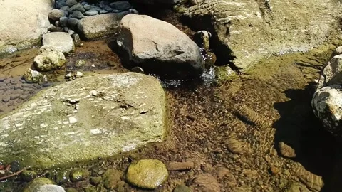 Close-up of clear stream flowing over smooth rocks and pebbles with gentle Stock Footage 344429058