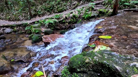Close-up of a clear stream flowing over mossy rocks at Mae Kampong Stock Footage 346112281