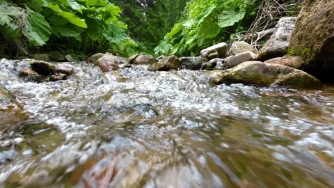 Close up of Clear stream running through stone boulders. Abundant river Stock Footage 246646392