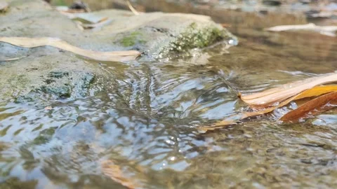 Close-up of Clear Stream Water Flowing Over Mossy Rock Stock Footage 346607429