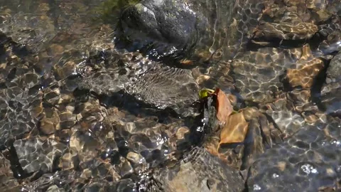 Close Up Clear Stream Water Stock Footage 91216434