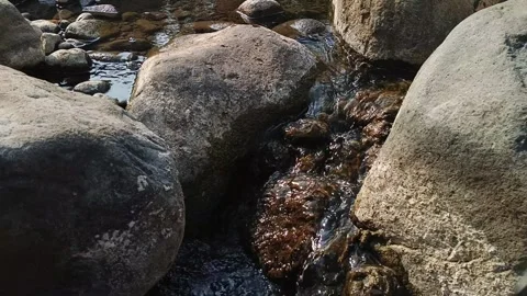 Close up of clear water flowing between river rocks in bright sunlight Stock Footage 344087571