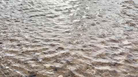 Close up of clear water flowing with gentle ripples and natural Stock Footage 346012580