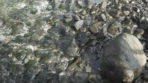 Close-Up Clear Water Flowing Over Wet Rocks Green Algae Slow Motion Stock Footage 335779929