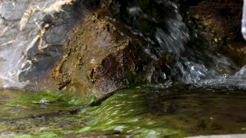 Close up of clear water flowing over mossy rocks in a natural stream Stock Footage 342333544