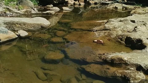 Close up of clear water flowing over rocky mountain stream bed during dry Video stock 344429535
