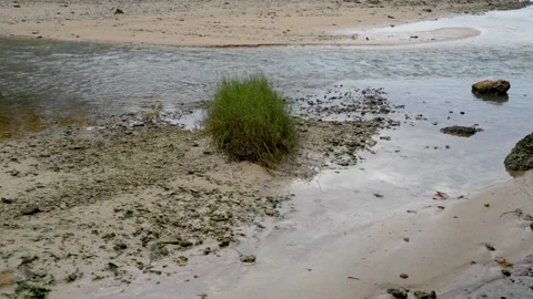 Close-up of a clear water stream flowing over a sandy and rocky beach. Stock Footage 331253368