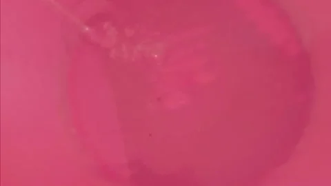 Close-up of clear water streaming into a pink plastic bucket Stock Footage 324626467