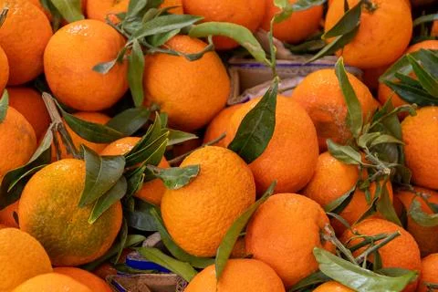 Close up of clementines with leaves 스톡 사진