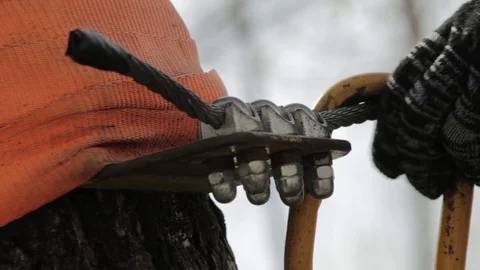 Close-up of climbing carbine on high ropes course in extreme park Stock Footage