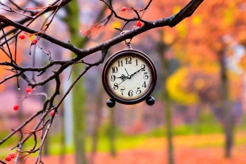 Close up of clock hanging on a tree branch Stock Photos