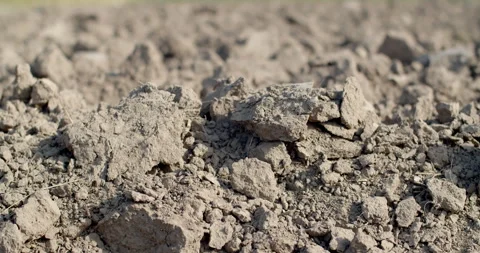 Close up clod.The soil is prepared for the next crop. Stock Footage 298185041