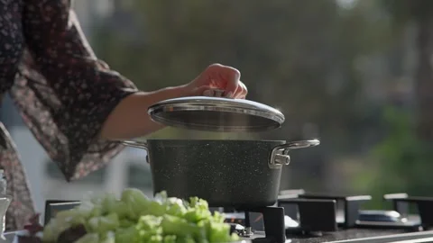 Close Up of Closing Lid on Cooking Pot Stock Footage 336466812