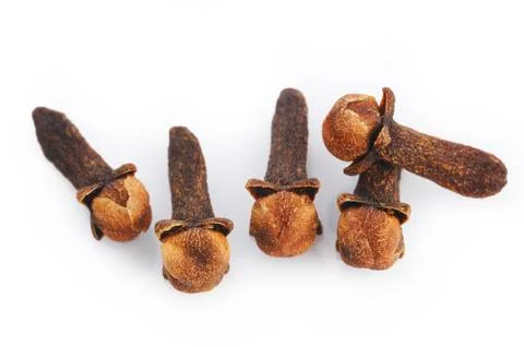 Close up of cloves on white background Stock Photos