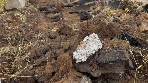 Close-up of clumpy brown soil, dark asphalt chunks and a white rock Vidéo 339096800