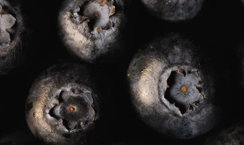 A close-up of a cluster of blueberries Stock-Fotos