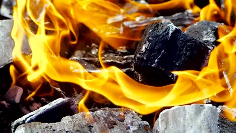 Close-up coal burn in the fire in slow motion 200 FPS. Coal is starting to burn Video stock 155710461