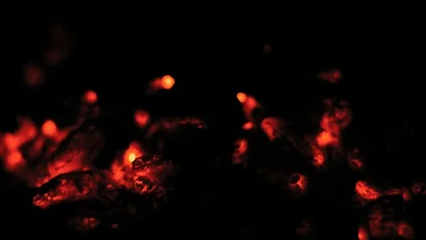 Close-Up Coal Lights in a Burning Night Bonfire Stock Footage 107734862